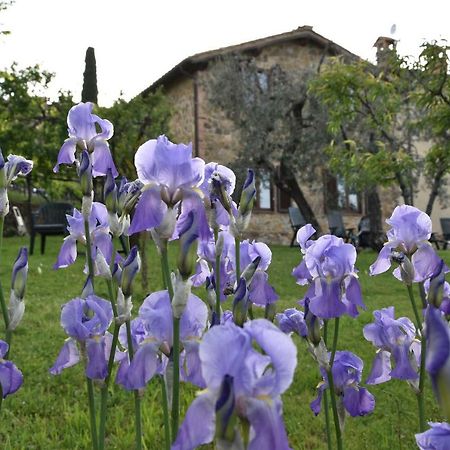 Casa Vacanze Porta Vecchia Villa Montalcino Exterior foto