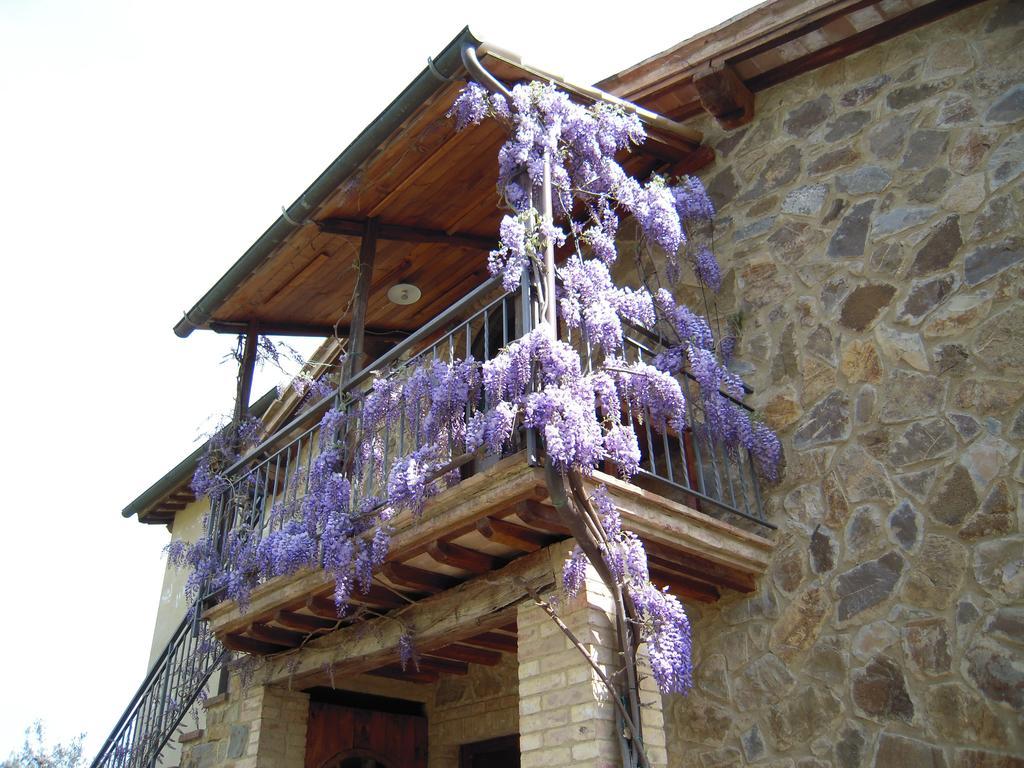 Casa Vacanze Porta Vecchia Villa Montalcino Exterior foto