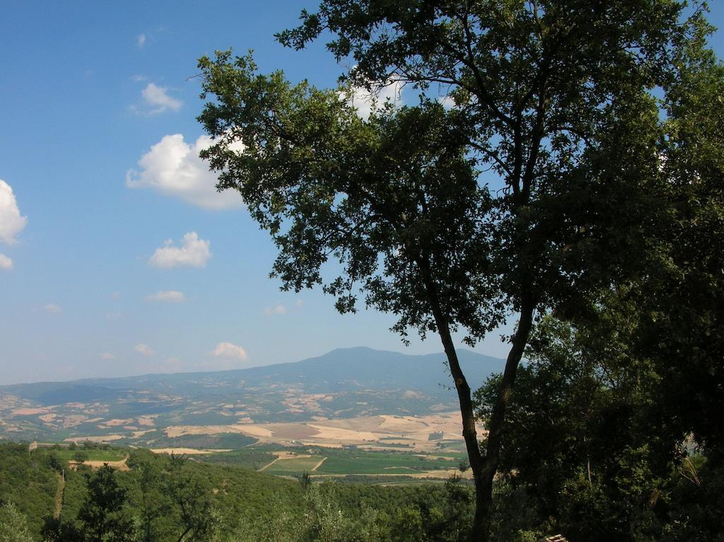 Casa Vacanze Porta Vecchia Villa Montalcino Cameră foto