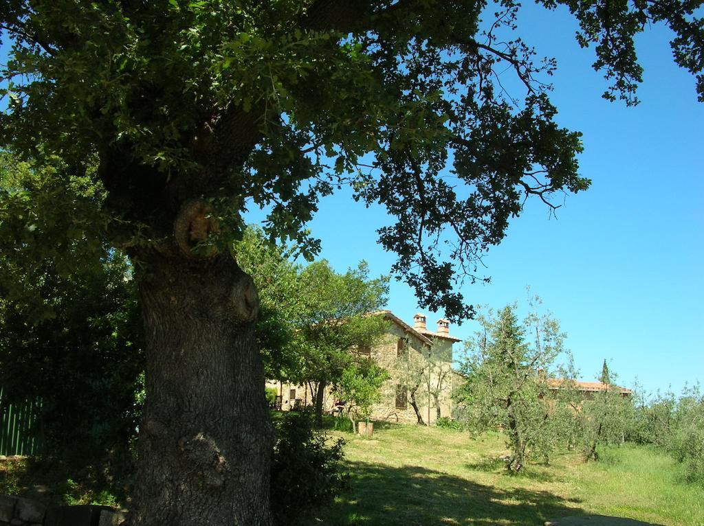 Casa Vacanze Porta Vecchia Villa Montalcino Cameră foto