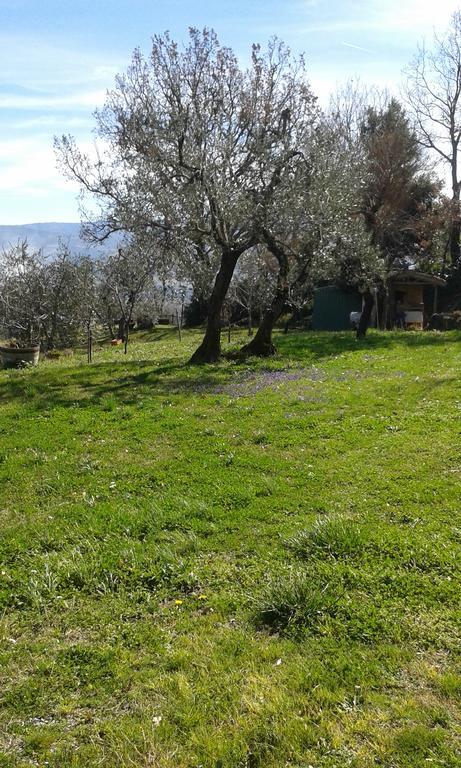 Casa Vacanze Porta Vecchia Villa Montalcino Exterior foto