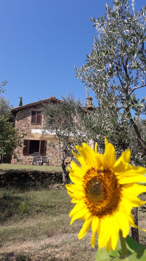 Casa Vacanze Porta Vecchia Villa Montalcino Exterior foto