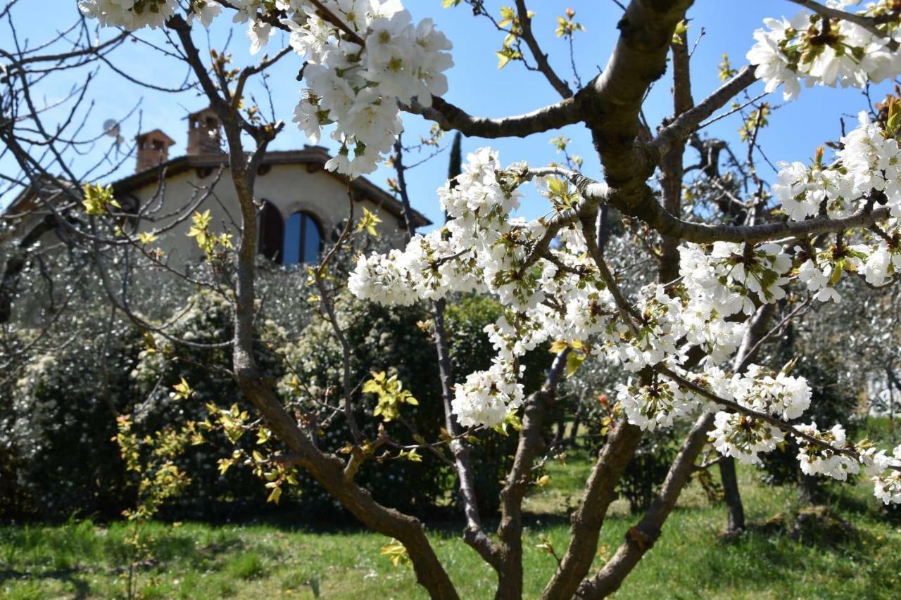 Casa Vacanze Porta Vecchia Villa Montalcino Exterior foto