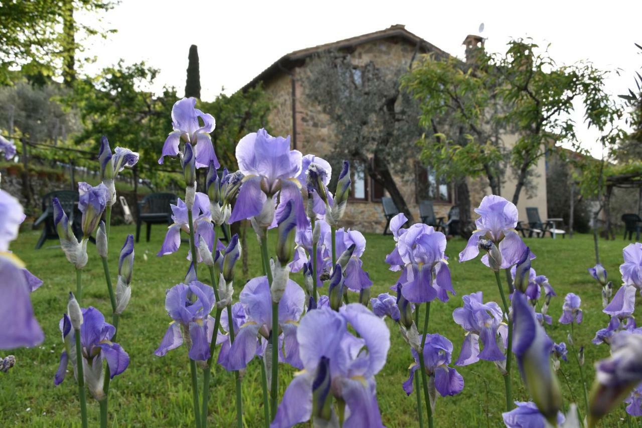 Casa Vacanze Porta Vecchia Villa Montalcino Exterior foto